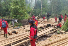 Kemenhut Musnahkan 316 Batang Kayu dan Rel Sepanjang 1 KM di TN Berbak dan Sembilang