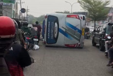 Detik-detik Bus Pariwisata Terguling di Pattimura Jambi, Ini Pemicunya
