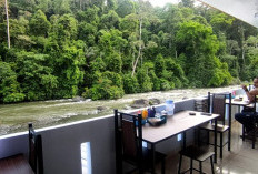 Dugaan Penyelewengan Lahan TNKS, Kasus Naik ke Penyidikan