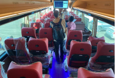 Layani Transportasi Jemaah Haji, Kemenhaj Siapkan Ribuan Armada Bus di Madinah