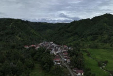 KKI Warsi Analisa Bentang Alam Kerinci Rawan Bencana Hidrometeorologi