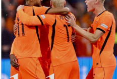 Cody Gakpo Jadi Pahlawan, Timnas Belanda Tahan Imbang Jerman 1-1