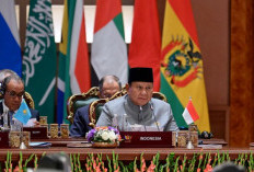 Prabowo: RI Siap Tingkatkan Dukungan Pangan Bagi Dunia