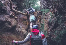 Gunung Kerinci Tetap Jadi Magnet, Kunjungan Wisata TNKS Meningkat