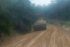 PTPN IV Perbaiki 12 Km Jalan Desa di Muaro Jambi, Akses Mobilitas 1.750 KK Kini Lancar