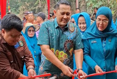 Bupati M. Syukur Dorong Penguatan Keluarga dan Pelestarian Geopark Merangin di HKG PKK ke-54