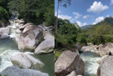 Viral Lokasi Wisata Penuh Batu-batu Raksasa di Batang Asai Provinsi Jambi