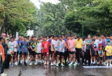 Bupati H M Syukur Launching Car Free Day Merangin, Wabup H A Khafid dan Sekda Zulhifni Lepas Lari 5 K