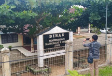 28 Rio Terpilih Hasil Pilrio Serentak Dilantik pada Agustus-September, Berikut Nama-Nama Rio Terpilih