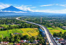 Perkuat Konektivitas Nasional, Jasa Marga Kejar Penuntasan Lima Jalan Tol PSN Strategis, Ini Daftarnya
