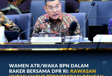 Wamen ATR/Waka BPN dalam Raker Bersama DPR RI: Kawasan Hutan Harus Terintegrasi dengan Tata Ruang