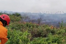 Lahan 8 Hektare Terbakar di Lagan Tengah