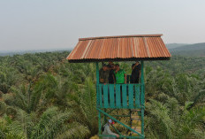Embung dan Menara Pantau Jadi Titik Vital Cegah Karhutla di BBB