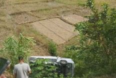 Sebuah Mobil Terjun ke Jurang di Pendakian Bukit Tengah Siulak, Sopir Dilarikan ke Puskesmas