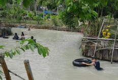 Diduga Akibat Limbah PETI, Sungai Juara Pertama API Taman Rivera Park Tebo Keruh dan Tercemar