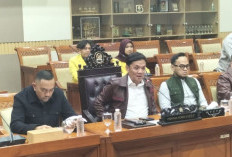Komisi III DPR Minta Kejagung Bentuk Tim Independen Usut Kasus Febrie Adriansyah