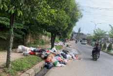 Sampah Makin Berserakan, Kota Jambi Darurat Sampah