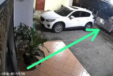 Usai Gasak 10 Kasur dari Ruko, Pria di Jelutung Dibekuk Polisi