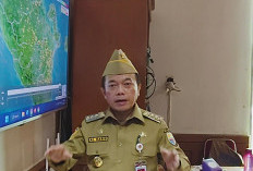 Bukan Cuma Beban Provinsi, Gubernur Al Haris Minta Bupati Proaktif Padamkan Karhutla, Ini Rincian Dana Bantuan