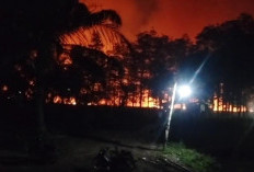 Karhutla Kembali Membara di Sungai Gelam, Tiga Helikopter Dikerahkan
