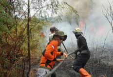 PT REKI Perkuat Pertahanan Hutan Harapan dari Karhutla