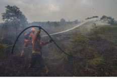 Cegah Karhutla Meluas di Kalimantan, PTPN IV PalmCo Perketat Patroli dan Mitigasi