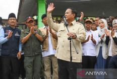 Prabowo: Pemerintah Sudah Mulai Tertibkan Pembalakan Liar