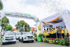 Menuju B50! Pemerintah Siapkan Jurus Jitu Perkuat Kemandirian Energi Nasional