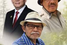 Aktivitas Manusia Dominasi Pemicu Karhutla, El Nino Perbesar Risiko Kebakaran