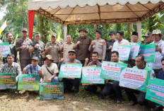 Luas Tanam Sawah di Merangin Naik 11 Persen, Bupati M Syukur Pacu Bantuan Alsintan dan Infrastruktur