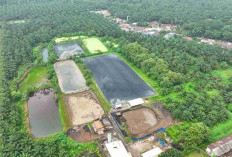 Strategi Hijau PTPN IV PalmCo, Sulap Limbah Sawit Jadi Listrik, Hemat Biaya Rp 39,5 Miliar