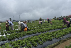  Libur Lebaran 2026, Polres Kerinci Jamin Kenyamanan Wisatawan di Objek Wisata