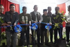 Kopi Kerinci Tembus Pasar Tiongkok, Bukti Daya Saing Robusta Lokal
