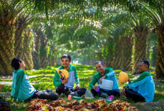 PalmCo Serap 70 Ribu Tenaga Kerja, Bidik Peluang Baru dari Hilirisasi Sawit