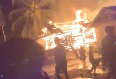 Kebakaran di Muaro Jambi, Rumah Nenek Sebatang Kara Ludes Dilalap Si Jago Merah