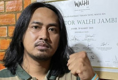  Dari Tahun 2001-2024, Jambi Sudah Kehilangan Tutupan Lahan 993 Ribuan Hektare