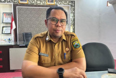 Pelebaran Jalan Mendalo Masih Tahap FS, Kadis PUPR Muaro Jambi Tunggu Hasil Balai Jalan