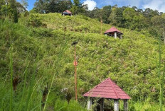 Ikon Wisata Bukit Khayangan Terbengkalai