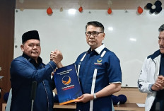 Sy Fasha Serahkan SK Ketua NasDem Tanjab Barat, Minta Ganjot Perolehan Kursi Legislatif 