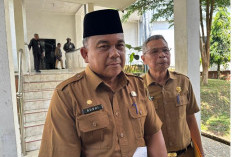 Pemkab Muaro Jambi Terapkan WFH bagi ASN Hamil