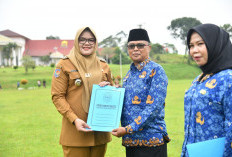 Gaji PPPK Paruh Waktu Tanjabtim Rp1,3–1,5 Juta