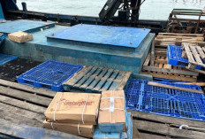 Polda Kepri Gagalkan Penyelundupan 70 Ton Daging Beku dari Singapura, Dibawa ke Jambi dan Pekanbaru