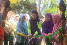 Lavita Syukur Launching Posyandu 6 SPM di Desa Marus Jaya