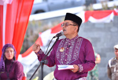 Maulana Turunkan Psikolog dan Inspektorat, Usut Dugaan Intimidasi Guru SDN 64 Kota Jambi