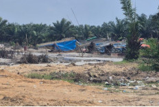 Tanpa Penindakan, PETI Dekat Embung Bandara Bungo Bebas Beroperasi 