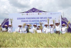 Fokuskan Ketahanan Pangan, GPIPS Jadi Strategi Baru Jaga Inflasi   