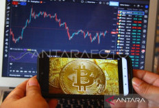 Harga Bitcoin Turun ke 74.000 dolar AS, Fundamental Masih Kuat