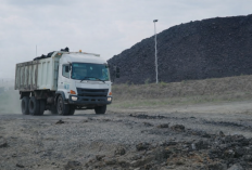 Jambi Bisa Dapat Lebih Besar dari Rp 112 Miliar Jika Jalan Khusus Batubara Rampung