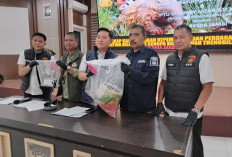 Polisi Gagalkan Perdagangan Sisik Trenggiling, Dua Pelaku Dibekuk di Bahar Selatan