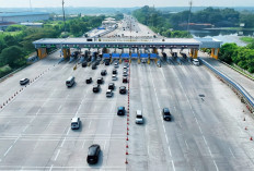 Resmi Ditutup! Rekayasa One Way Lokal Presisi di Jalan Tol Trans Jawa